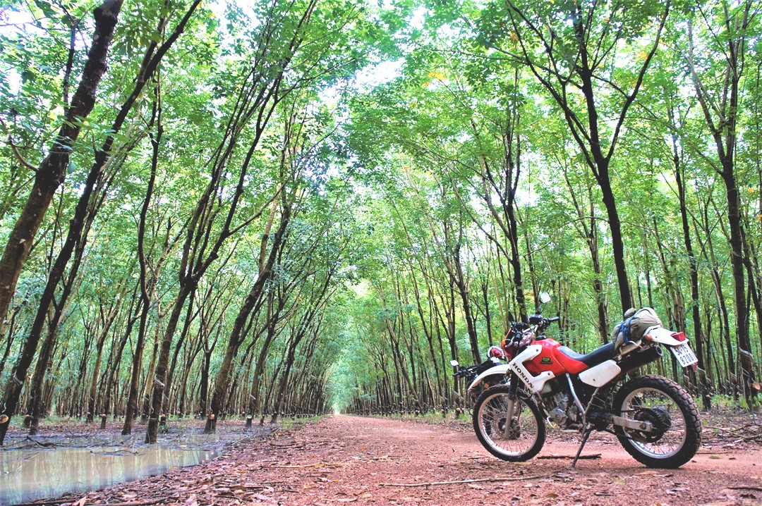 scenic-saigon-country-trails-on-250cc-dirt-bikes