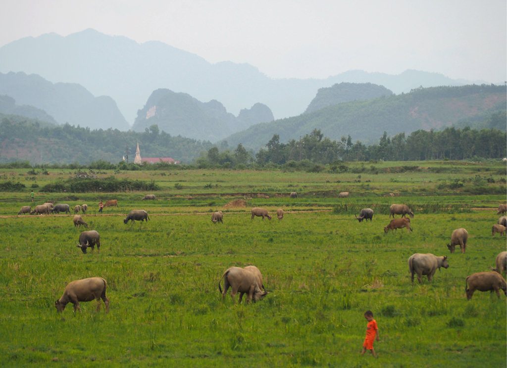 countryside-view-in-quang-binh-saigon-riders