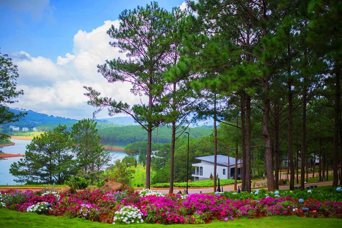 dalat-is-a-place-where-romance-happens