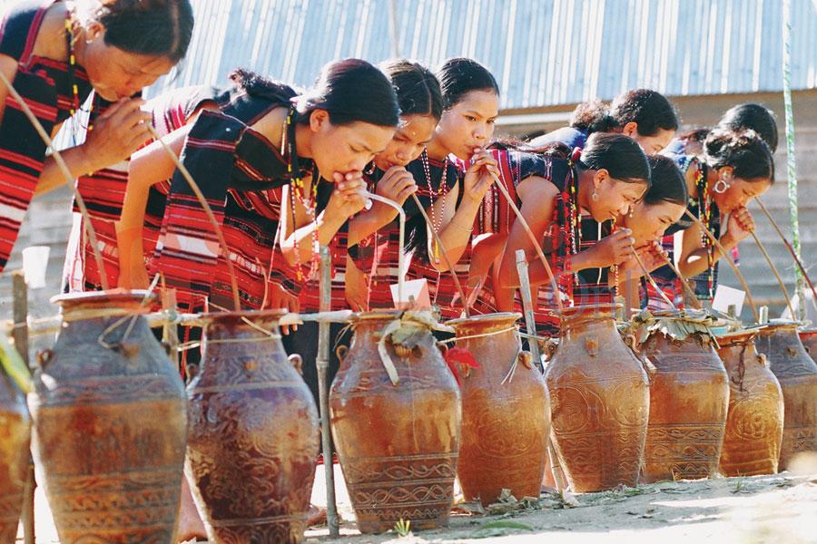 stem-wine-is-a-unique-culture-of-dalat