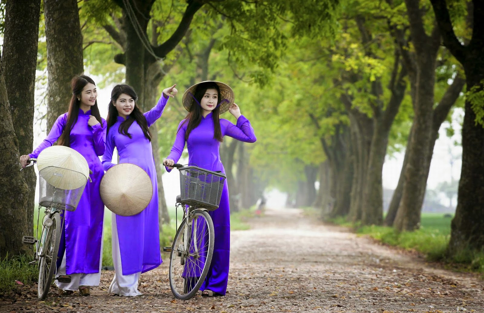 pretty-girls-in-purple-ao-dai-with-conical-hat-is-mostly-used-to-recognized-the-charming-hue-saigon-riders