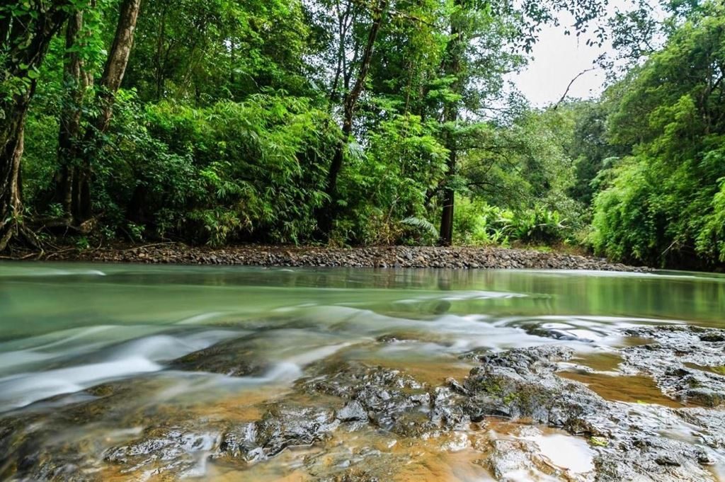 Bu Gia Map National Park is a hidden beauty