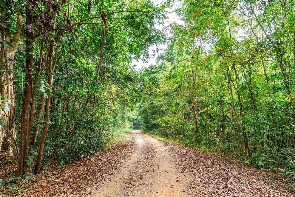 Dong Nai, Vietnam - An adventure in the tropical jungle