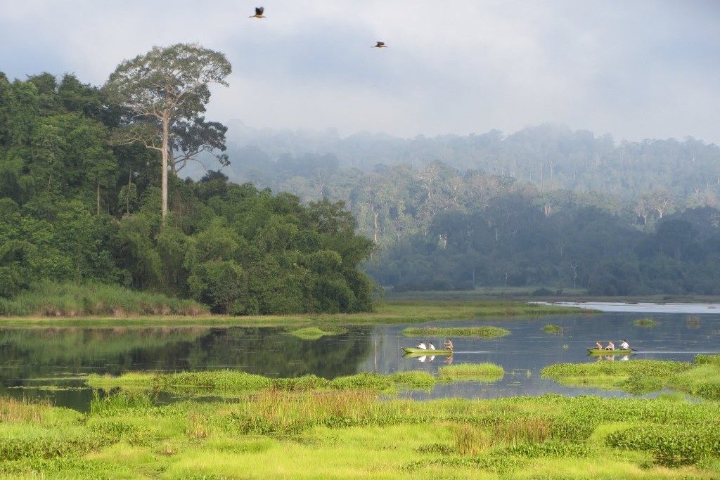 Crocodile Lake is a place which consists hundreds of crocodiles