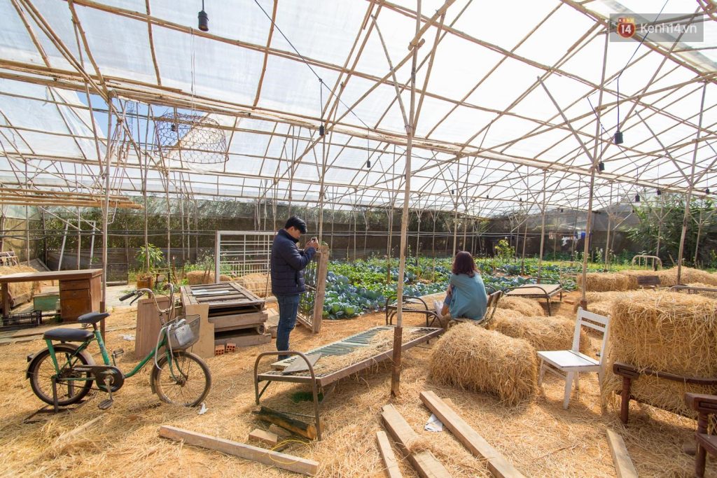 This countryside Dalat garden at Tre’s House would take your souls for the whole morning